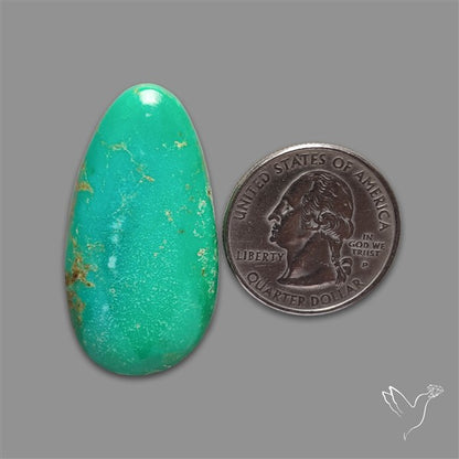 Natural Green Hubei Turquoise Cabochon
