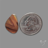 Montana Agate Cabochon