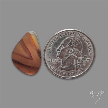 Montana Agate Cabochon