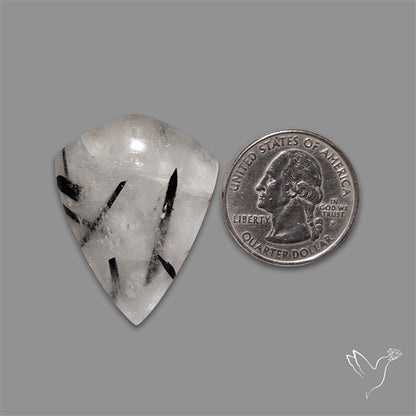 Black Tourmalinated Quartz Cabochon