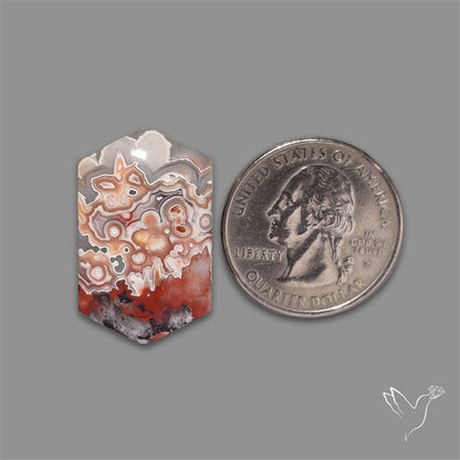Crazylace Agate Cabochon