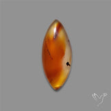 Montana Agate Cabochon