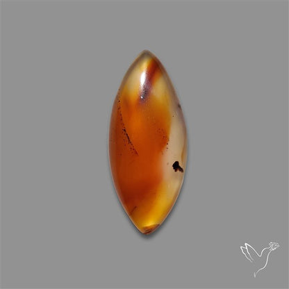 Montana Agate Cabochon