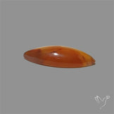 Montana Agate Cabochon
