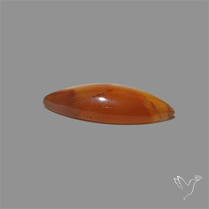 Montana Agate Cabochon