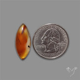 Montana Agate Cabochon