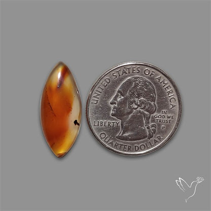 Montana Agate Cabochon