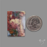 Indonesian Red Moss Agate Cabochon