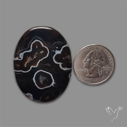 Black Banded Tuxedo Agate Cabochon