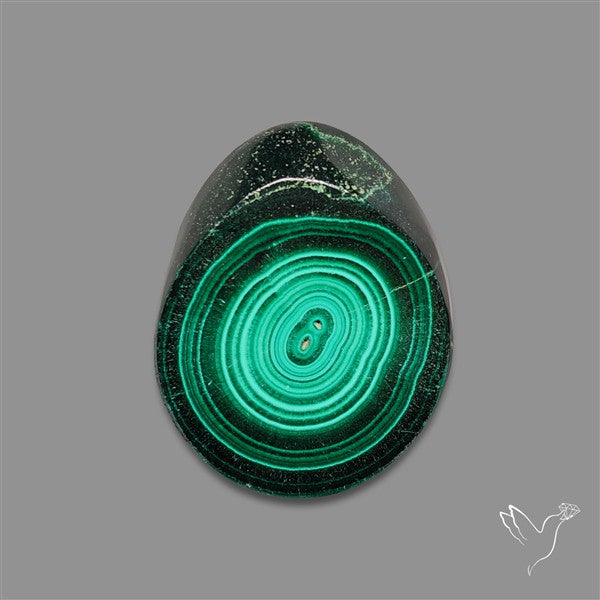 Rare Malachite Stalactite Slice