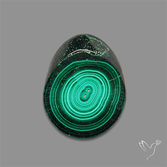 Rare Malachite Stalactite Slice