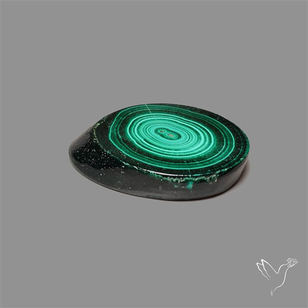 Rare Malachite Stalactite Slice
