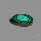 Rare Malachite Stalactite Slice