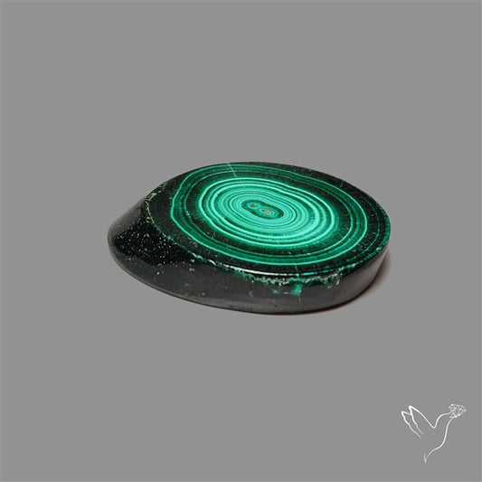 Rare Malachite Stalactite Slice