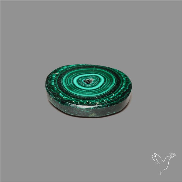 Rare Malachite Stalactite Slice
