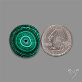 Rare Malachite Stalactite Slice