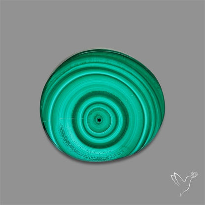 Rare Malachite Stalactite Slice