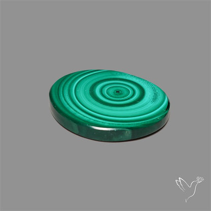 Rare Malachite Stalactite Slice