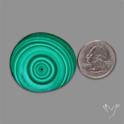 Rare Malachite Stalactite Slice