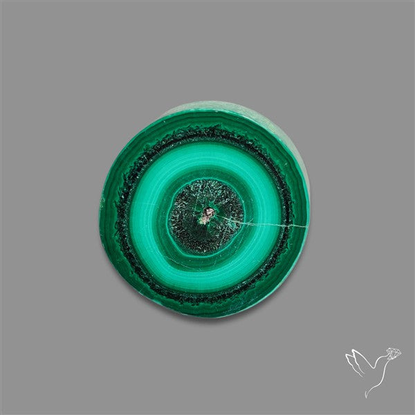 Rare Malachite Stalactite Slice