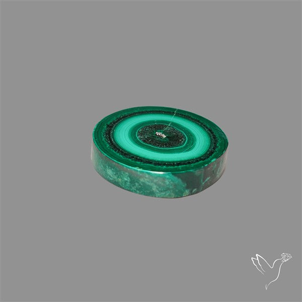 Rare Malachite Stalactite Slice