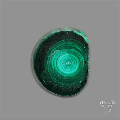 Rare Malachite Stalactite Slice