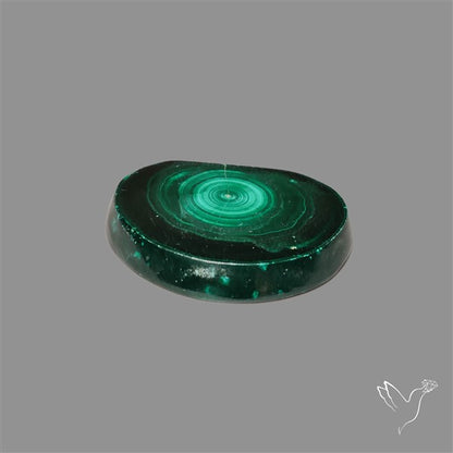 Rare Malachite Stalactite Slice