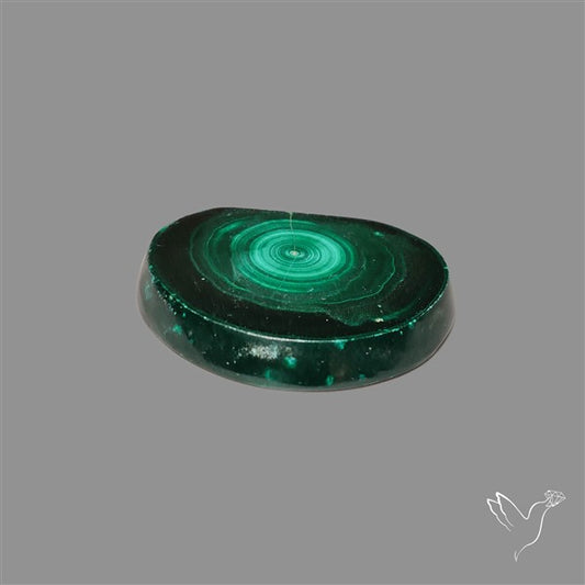 Rare Malachite Stalactite Slice