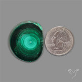 Rare Malachite Stalactite Slice