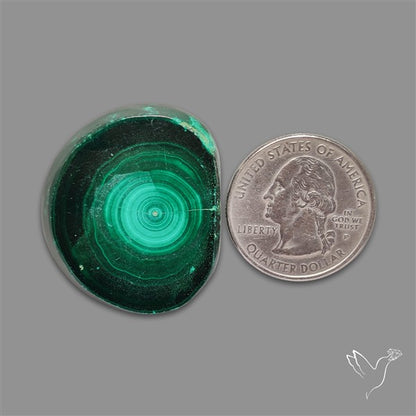 Rare Malachite Stalactite Slice