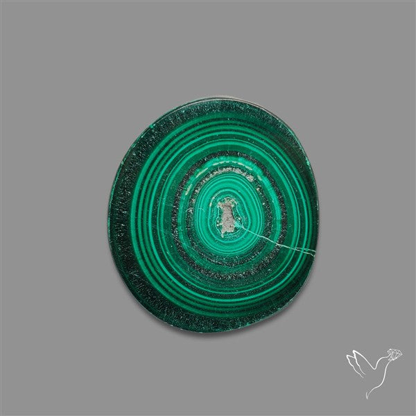Rare Malachite Stalactite Slice