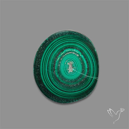 Rare Malachite Stalactite Slice