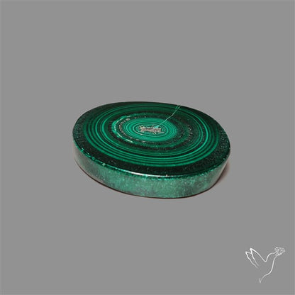 Rare Malachite Stalactite Slice