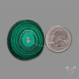 Rare Malachite Stalactite Slice
