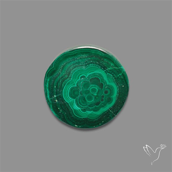 Rare Malachite Stalactite Slice