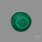 Rare Malachite Stalactite Slice