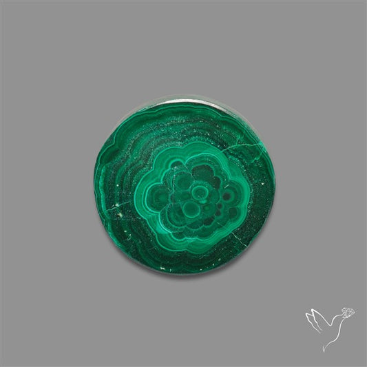 Rare Malachite Stalactite Slice