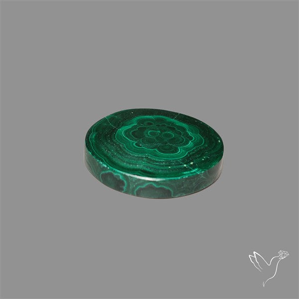 Rare Malachite Stalactite Slice