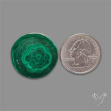 Rare Malachite Stalactite Slice
