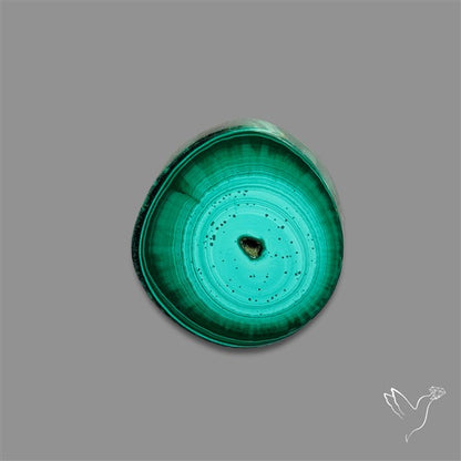 Rare Malachite Stalactite Slice