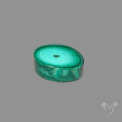 Rare Malachite Stalactite Slice