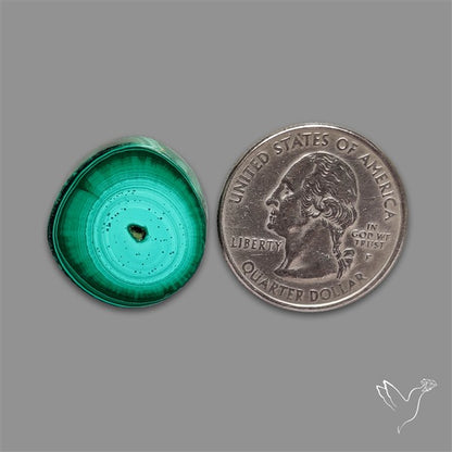 Rare Malachite Stalactite Slice