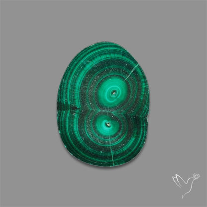 Rare Malachite Stalactite Slice