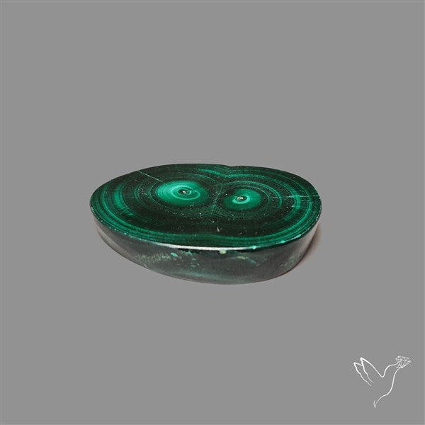 Rare Malachite Stalactite Slice