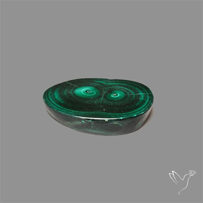 Rare Malachite Stalactite Slice