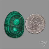 Rare Malachite Stalactite Slice
