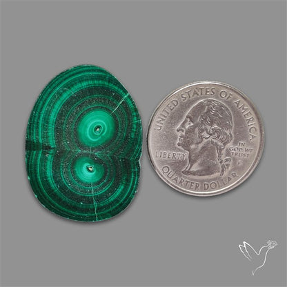 Rare Malachite Stalactite Slice