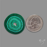 Rare Malachite Stalactite Slice
