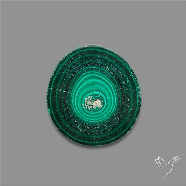 Rare Malachite Stalactite Slice