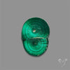 Rare Malachite Stalactite Slice wiith Chattoyancy